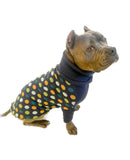 Spot - Dog Sweater